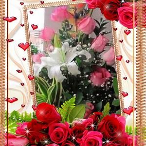 Meet your Posher, Moreno